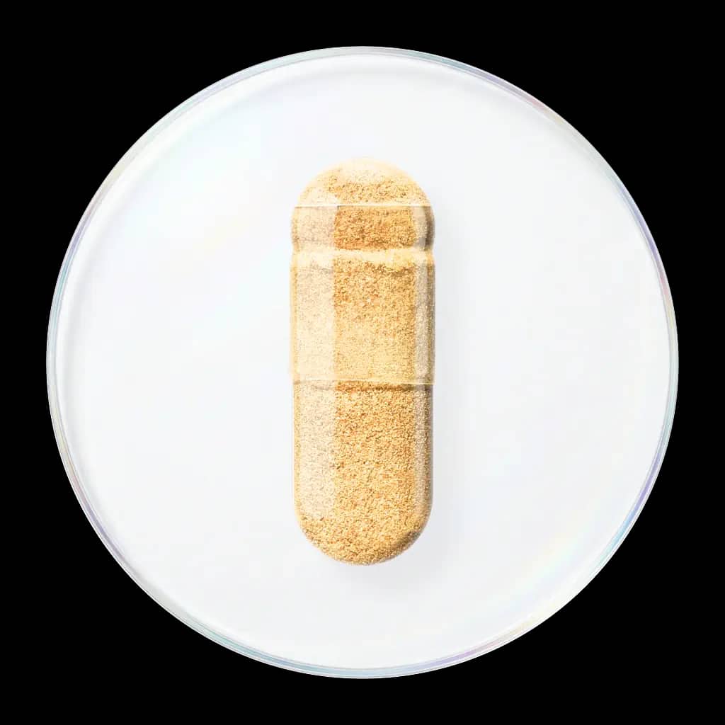 奶蓟草提取物