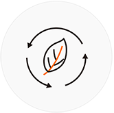 page-166-165 page-166-165